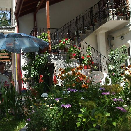 Vila Ana-Maria Sinaia Extérieur photo