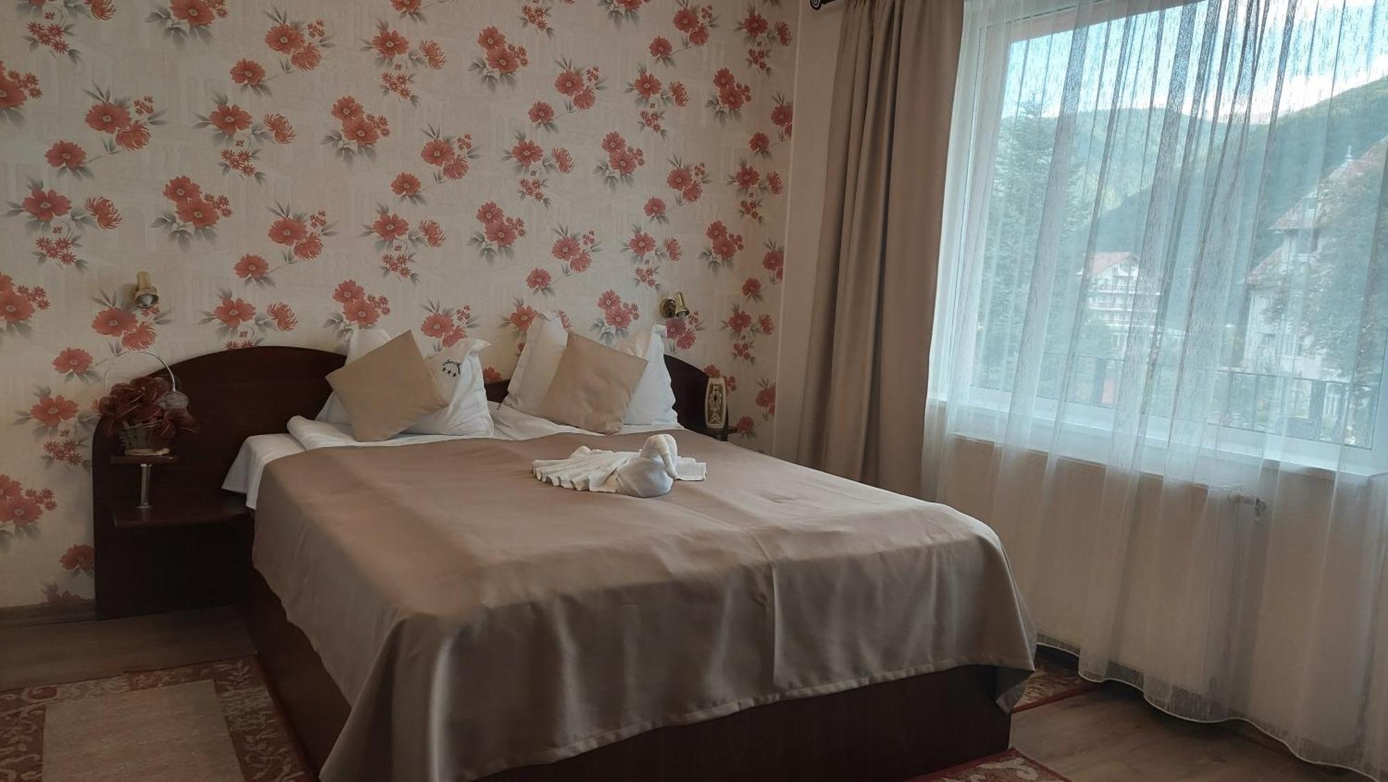 Vila Ana-Maria Sinaia Extérieur photo