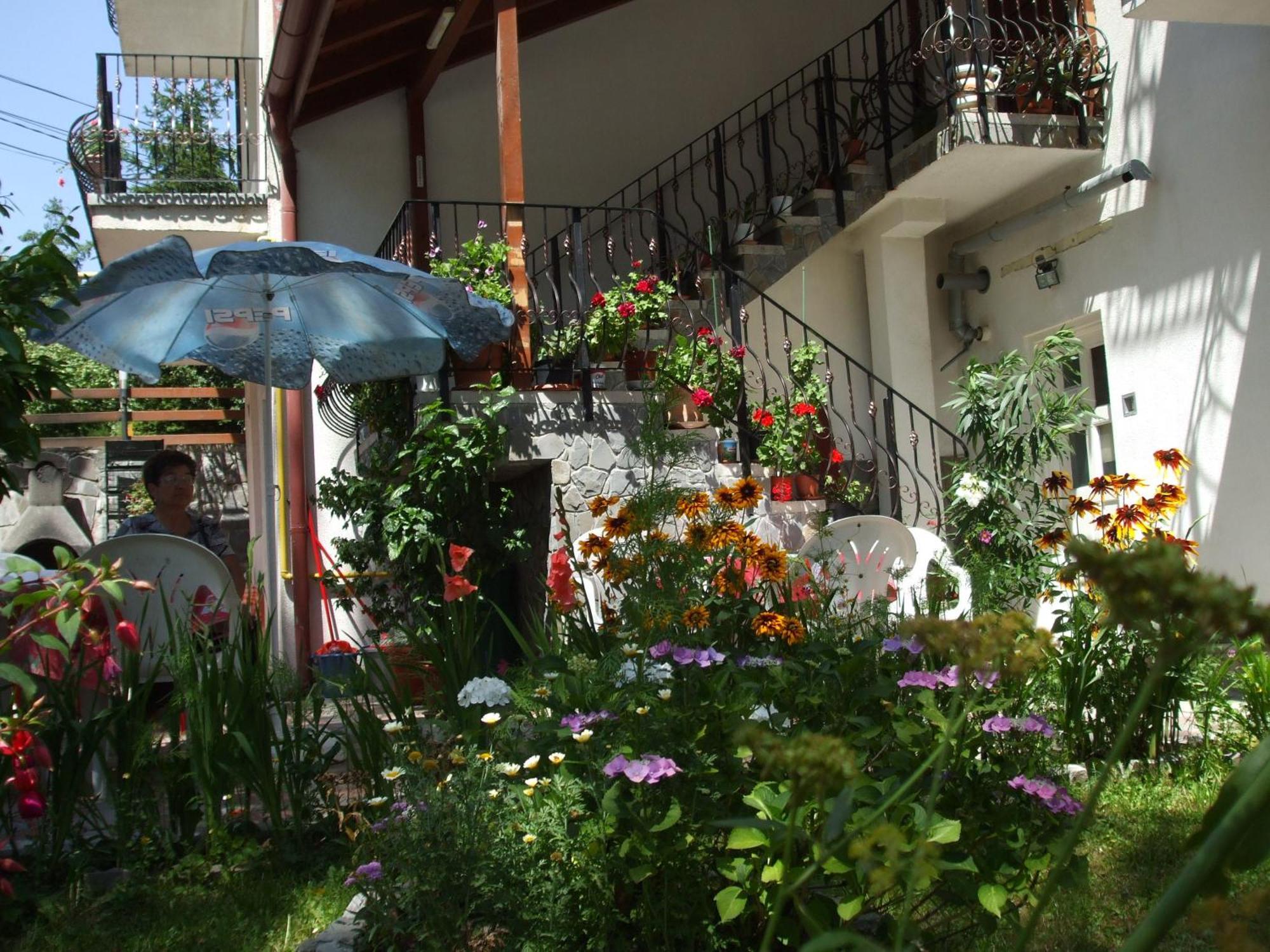 Vila Ana-Maria Sinaia Extérieur photo