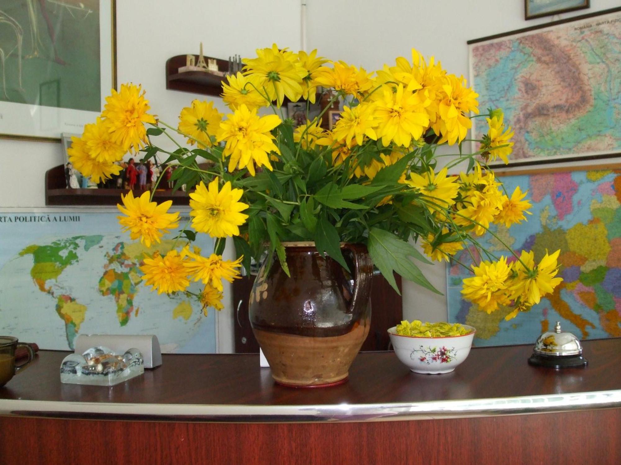 Vila Ana-Maria Sinaia Extérieur photo