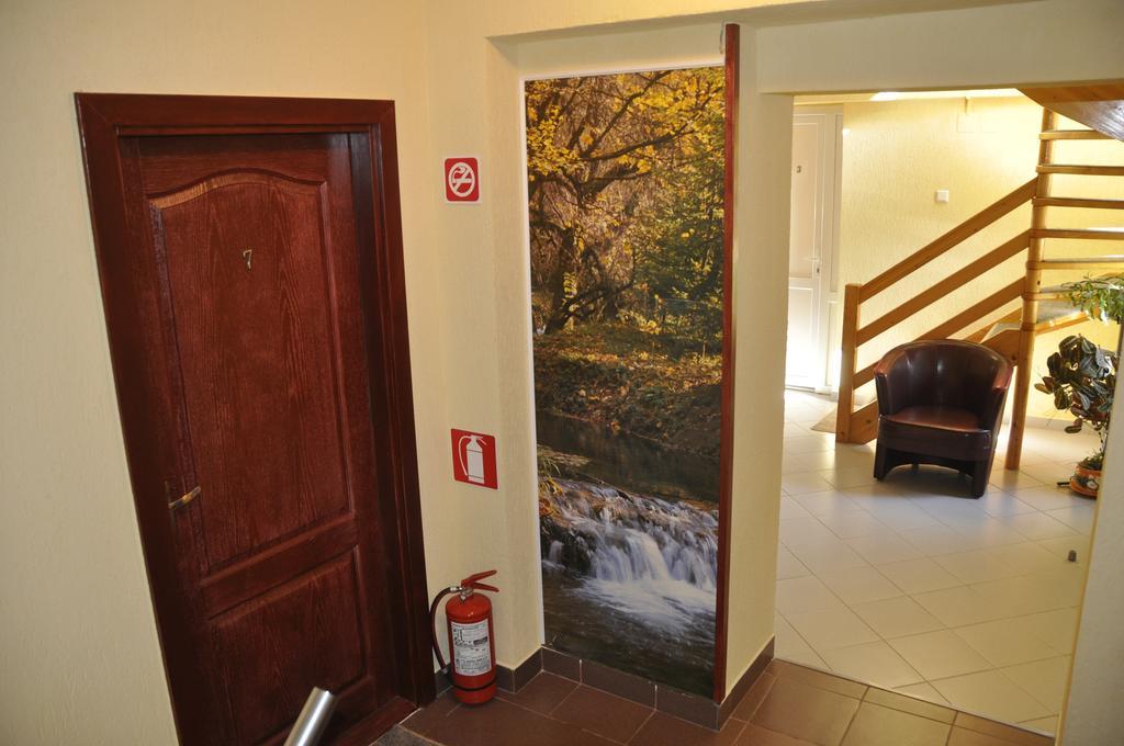 Vila Ana-Maria Sinaia Extérieur photo