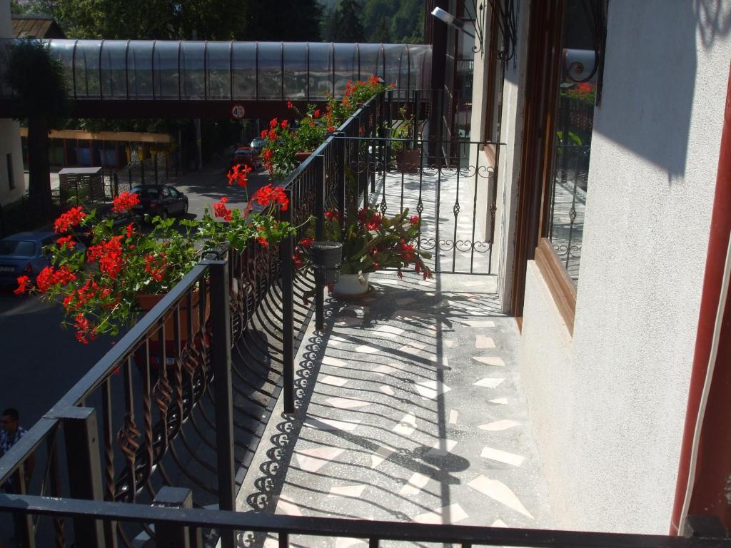 Vila Ana-Maria Sinaia Extérieur photo