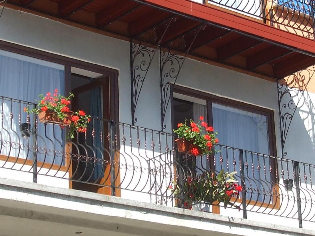 Vila Ana-Maria Sinaia Extérieur photo