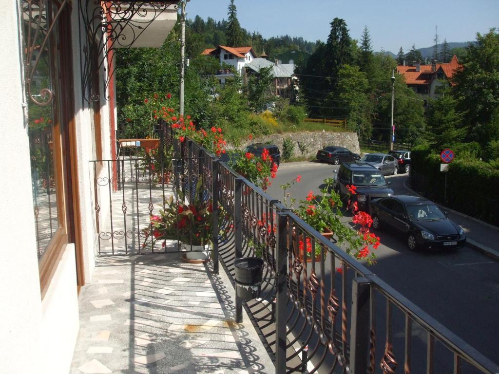 Vila Ana-Maria Sinaia Extérieur photo